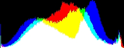 Histogram